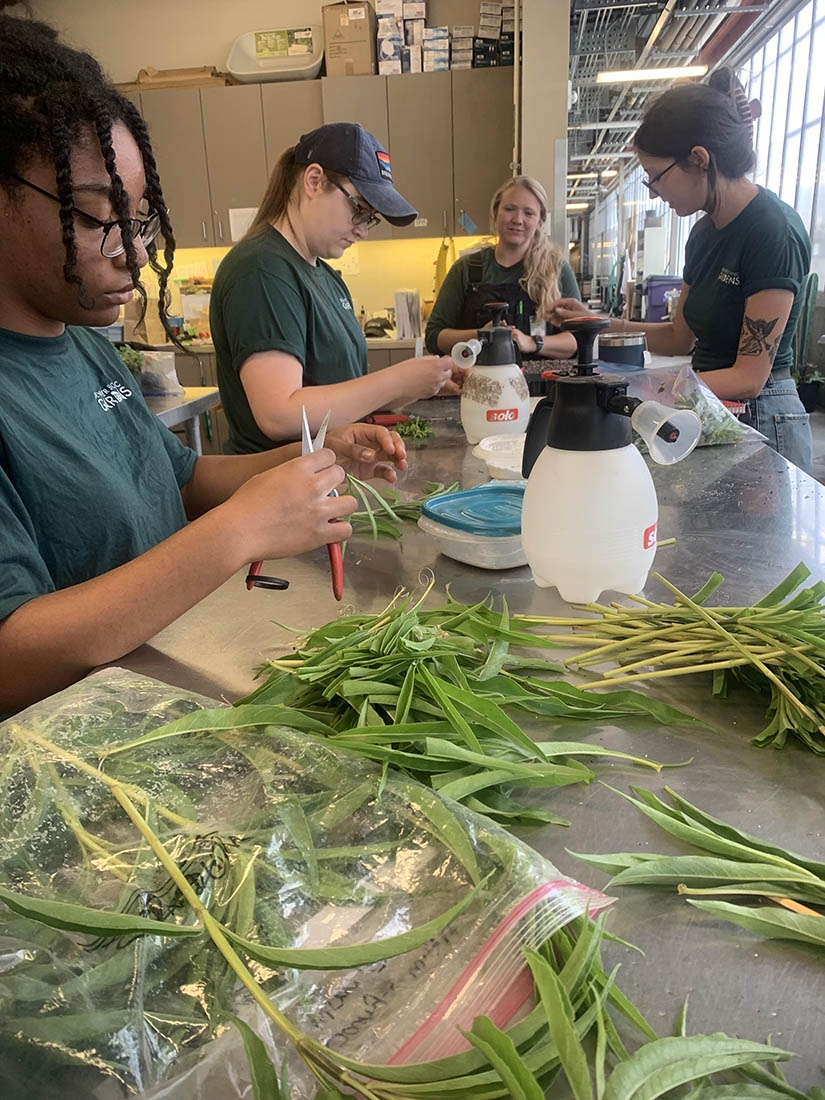 propagation workshop
