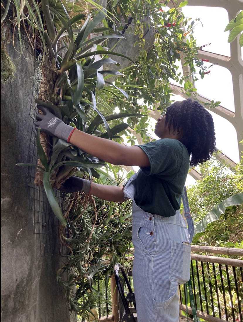 Working on treehouse display