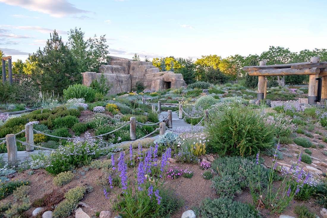 Mordecai Children's Garden