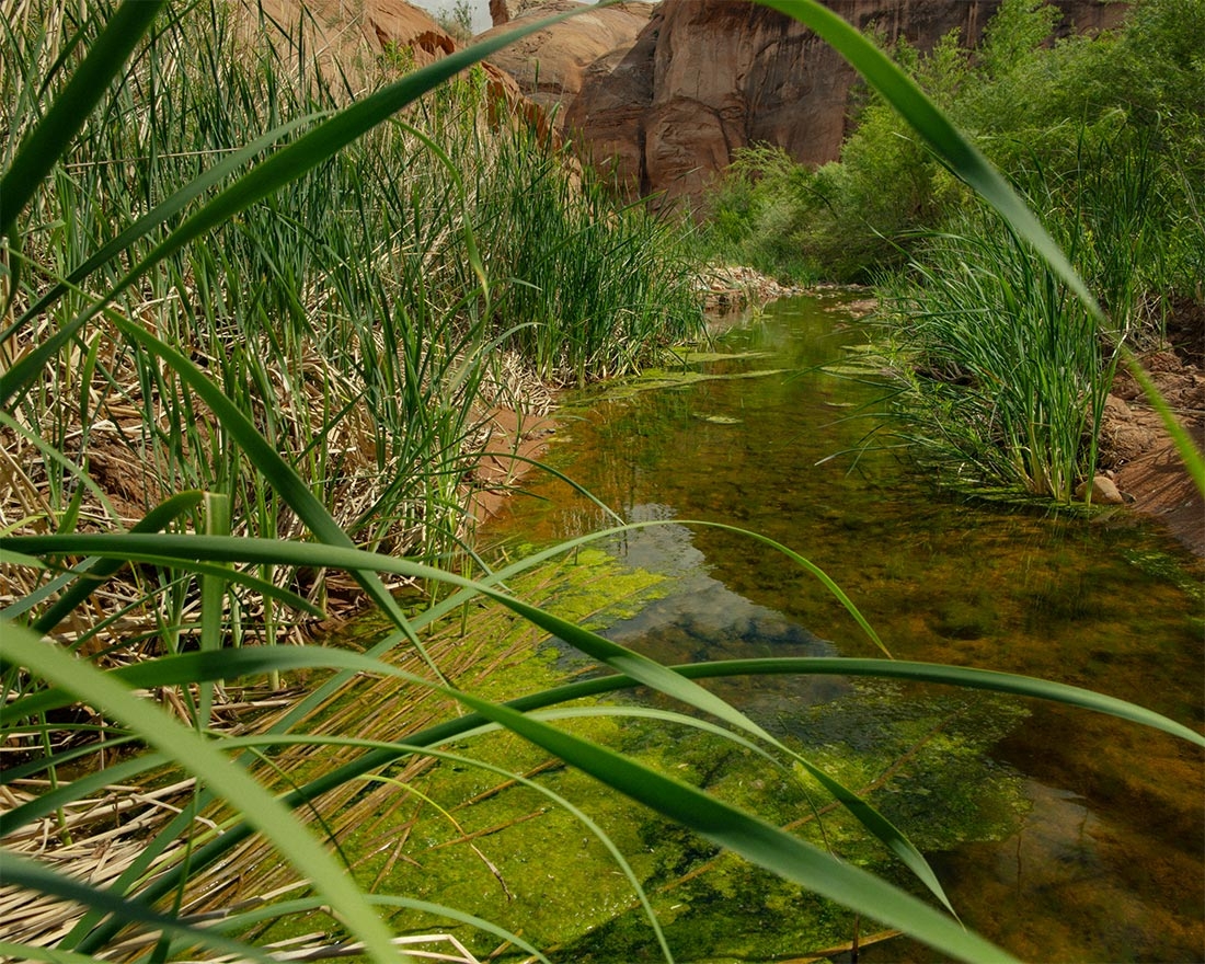 Elliot Ross, "Geography of Hope, Smith Fork," digital pigment print, 2023.