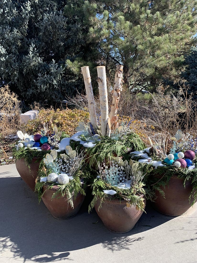 Winter container arrangements in blue and silver