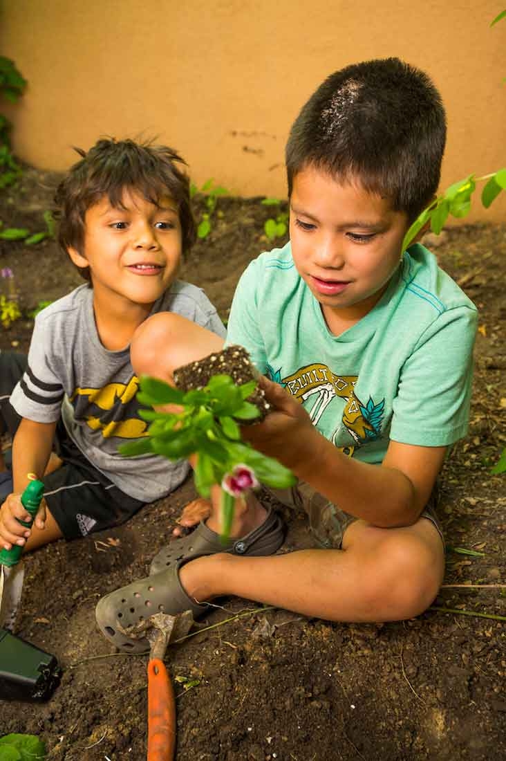 Two children looking at a plant that they are planting. 
