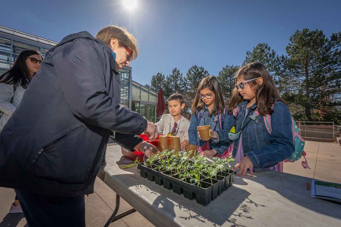 An adult planting plants while three children watch attentively. 