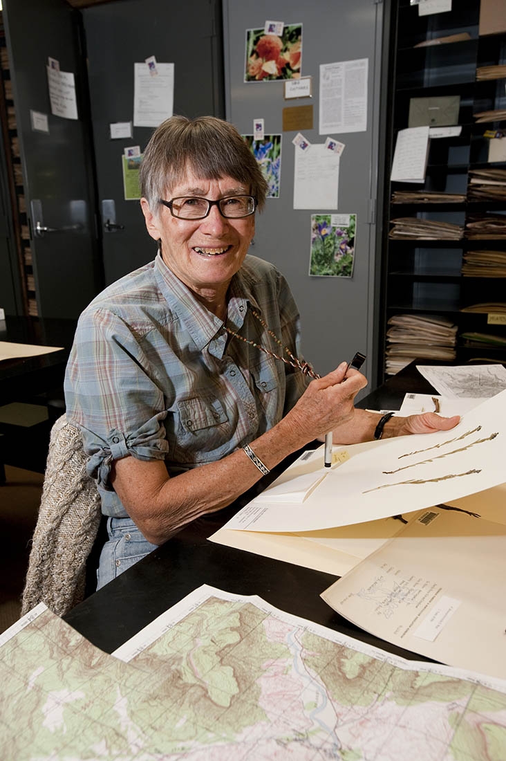 Loraine in the herbarium in 2009