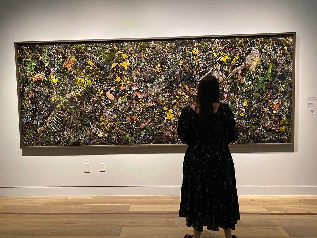 Tanya Marcuse Laws of Nature exhibition