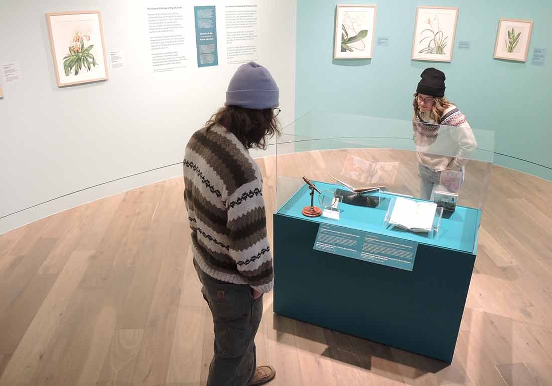 The Tropical Paintings of Manabu Saito works