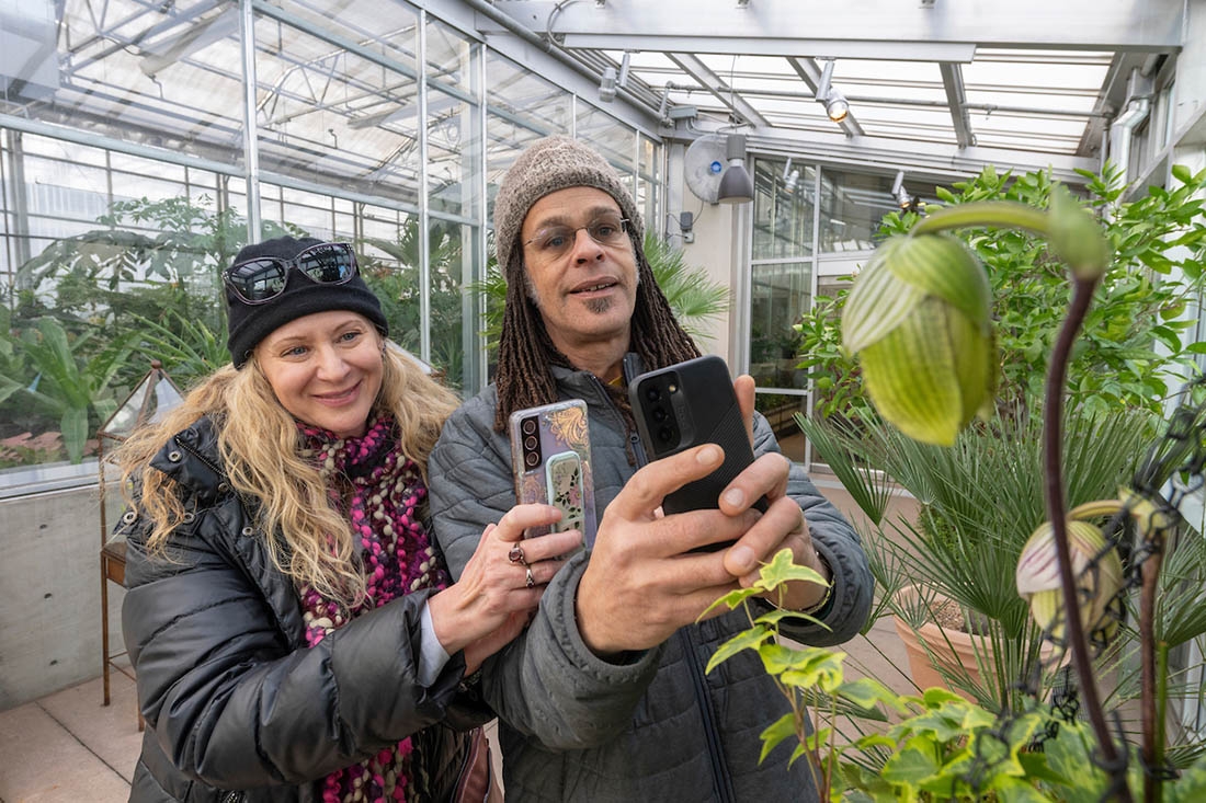 Two people with phones taking photos of orchids