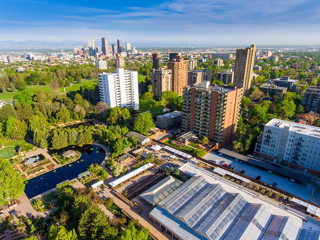 denver tree canopy