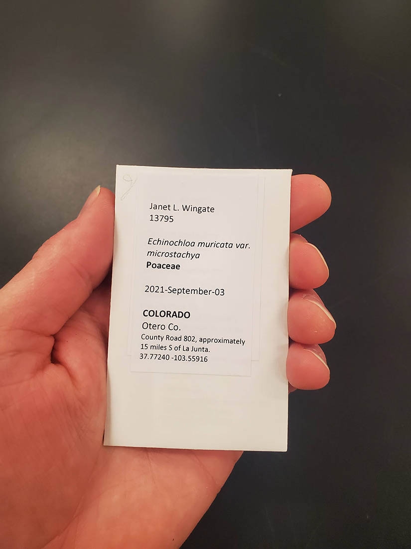 labeled tissue sample