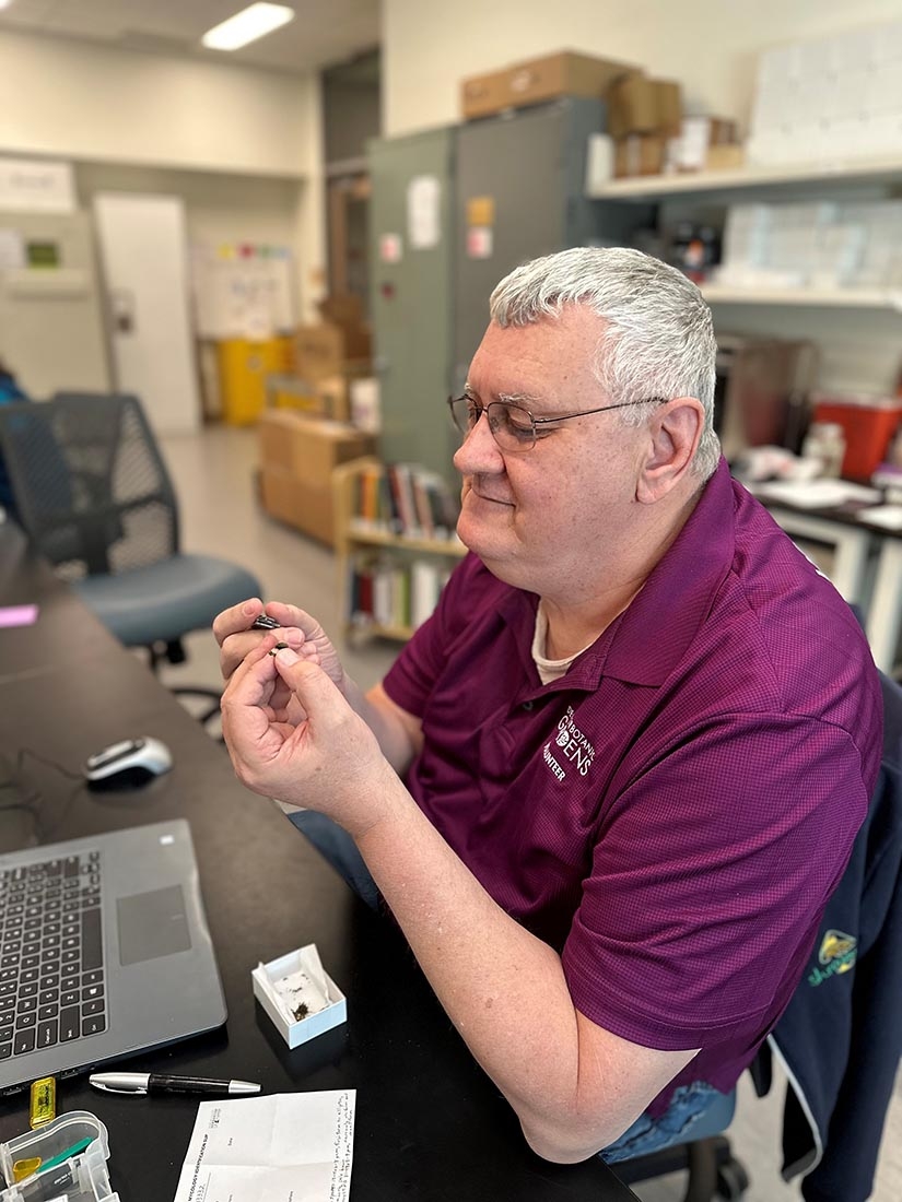Man in purple shirt studying specimen