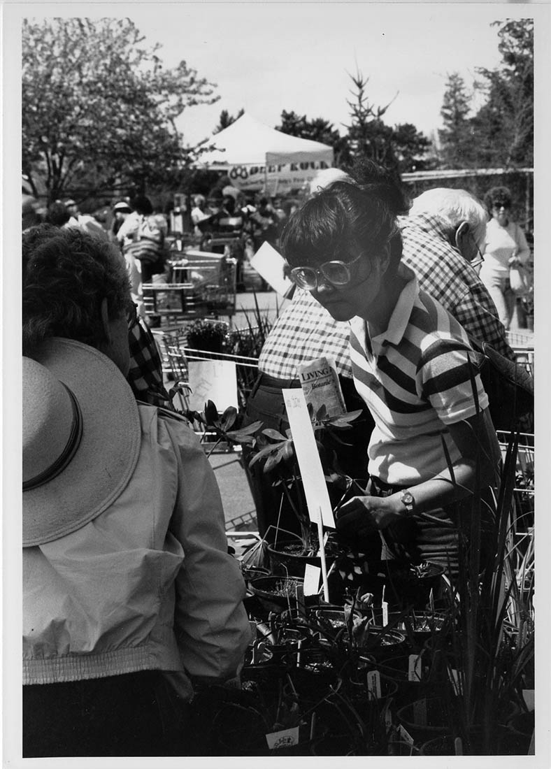 black and white photo plant sale