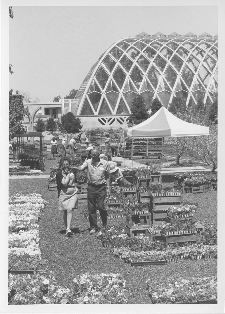 black and white photo people walking among plant sale inventory