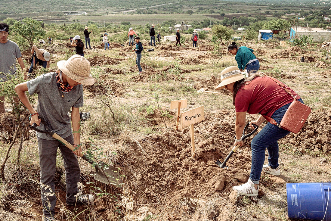 Volunteers planting trees