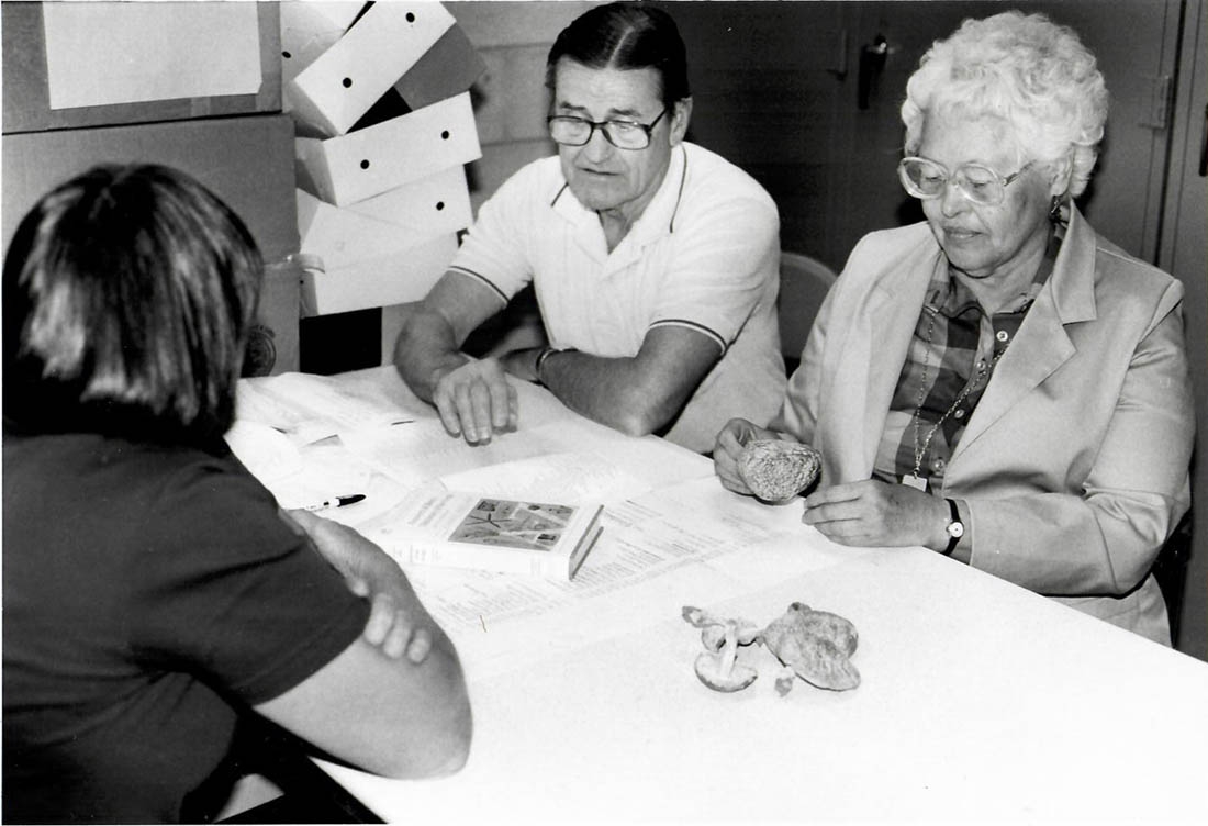 Three people in black and white photo examine fungal specimens