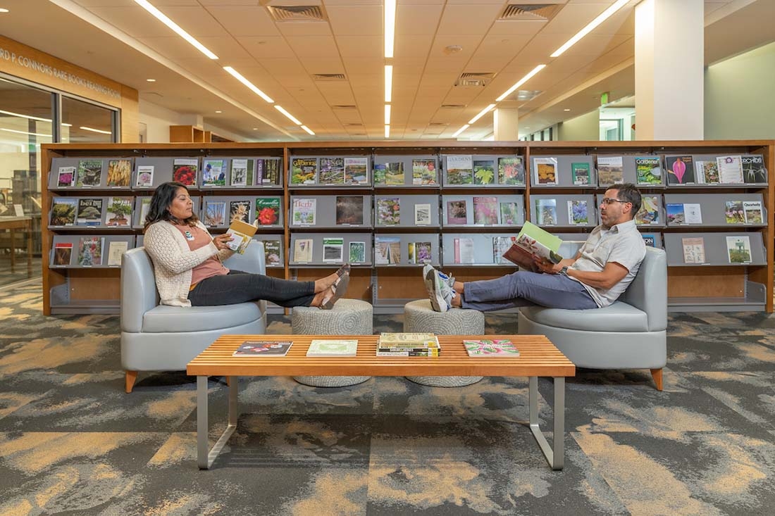 Two people sitting on chairs facing each other, reading books, in a library