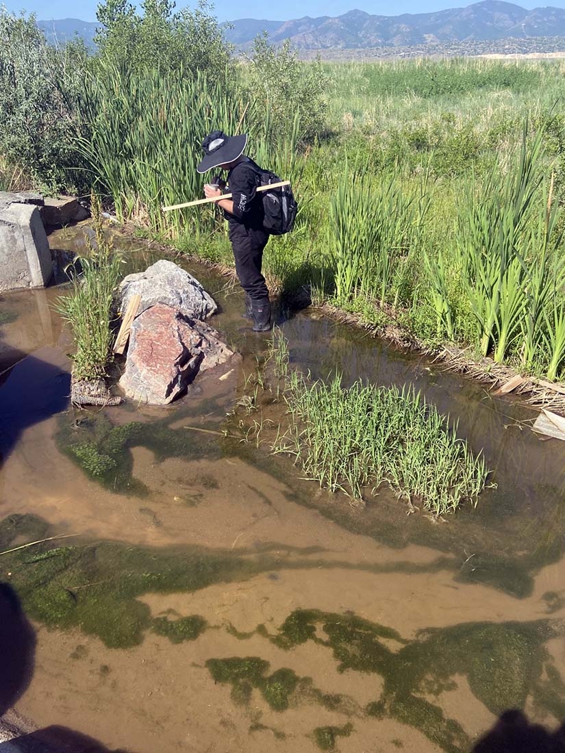 Person walking through shallow muddy creek and holding mosquito dipper