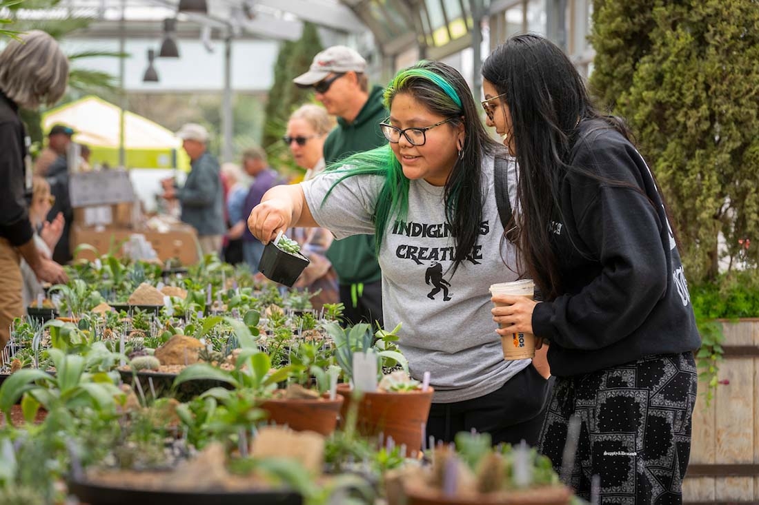 Two women shopping plants
