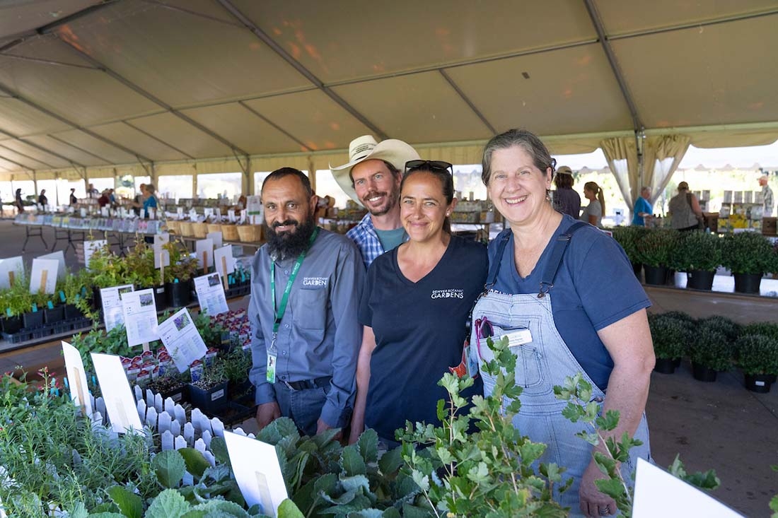 Four horticulturists standing behind a selection of plants