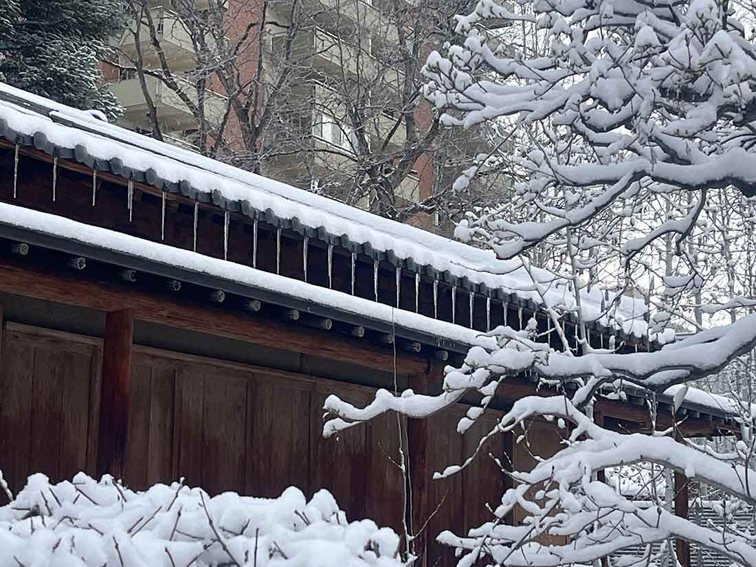 Icicles hanging from a snowy roof