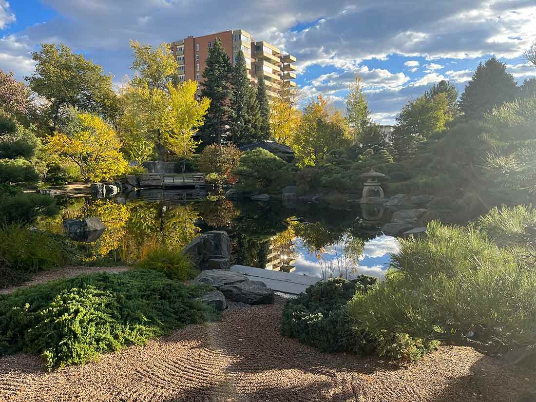 View from the sand and stone garden of a pond in the foreground and apartment building in the background