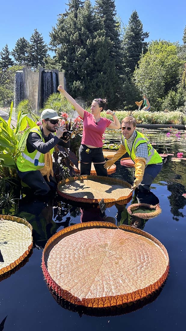 Three staff members standing in waterlily pond