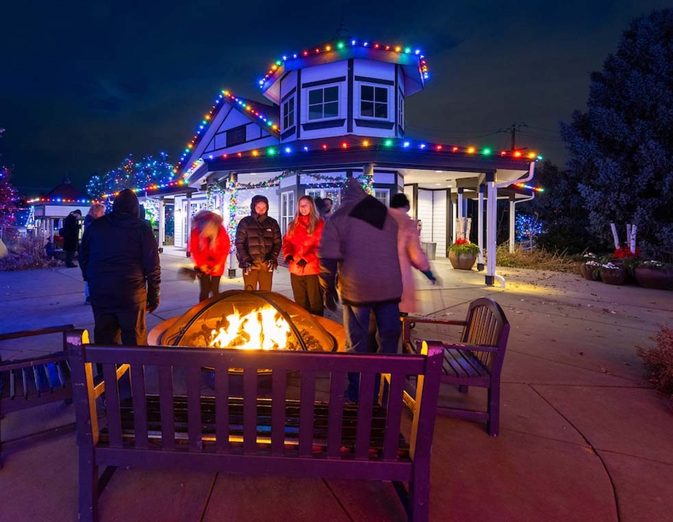 Group of people at holiday fire pit