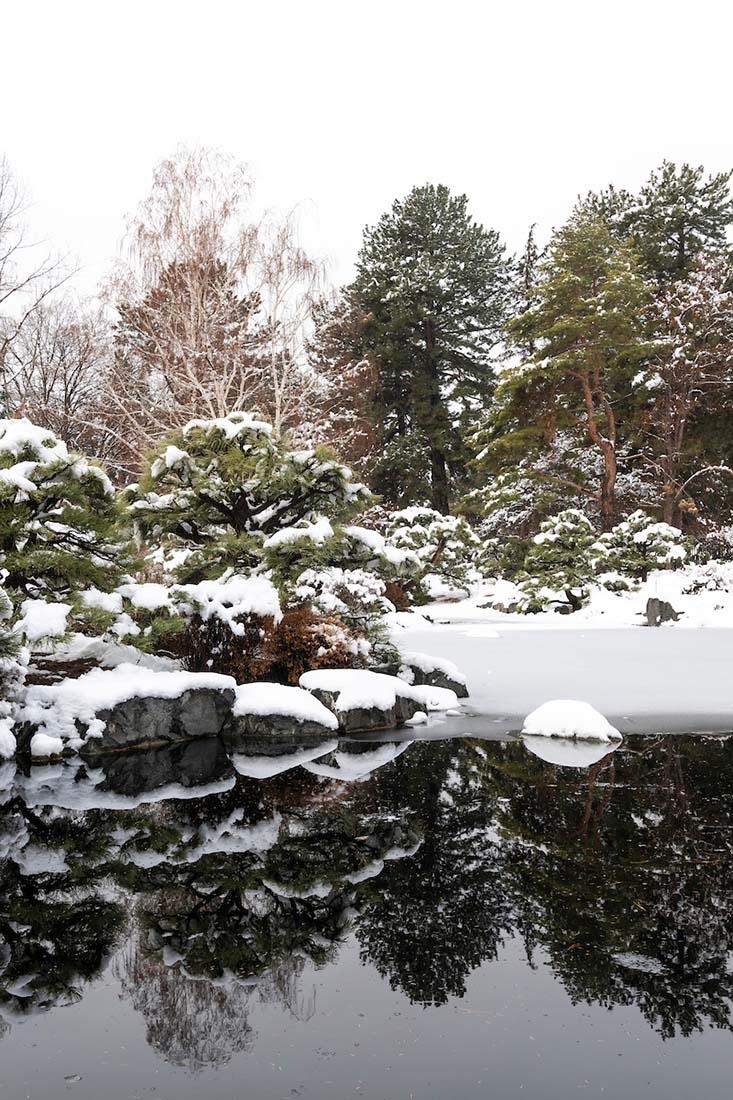 Japanese Garden in snow