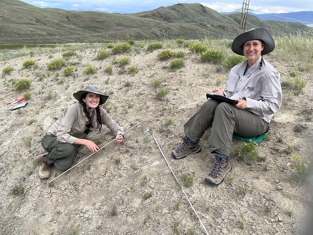 Two researchers in hats on patchy ground taking notes