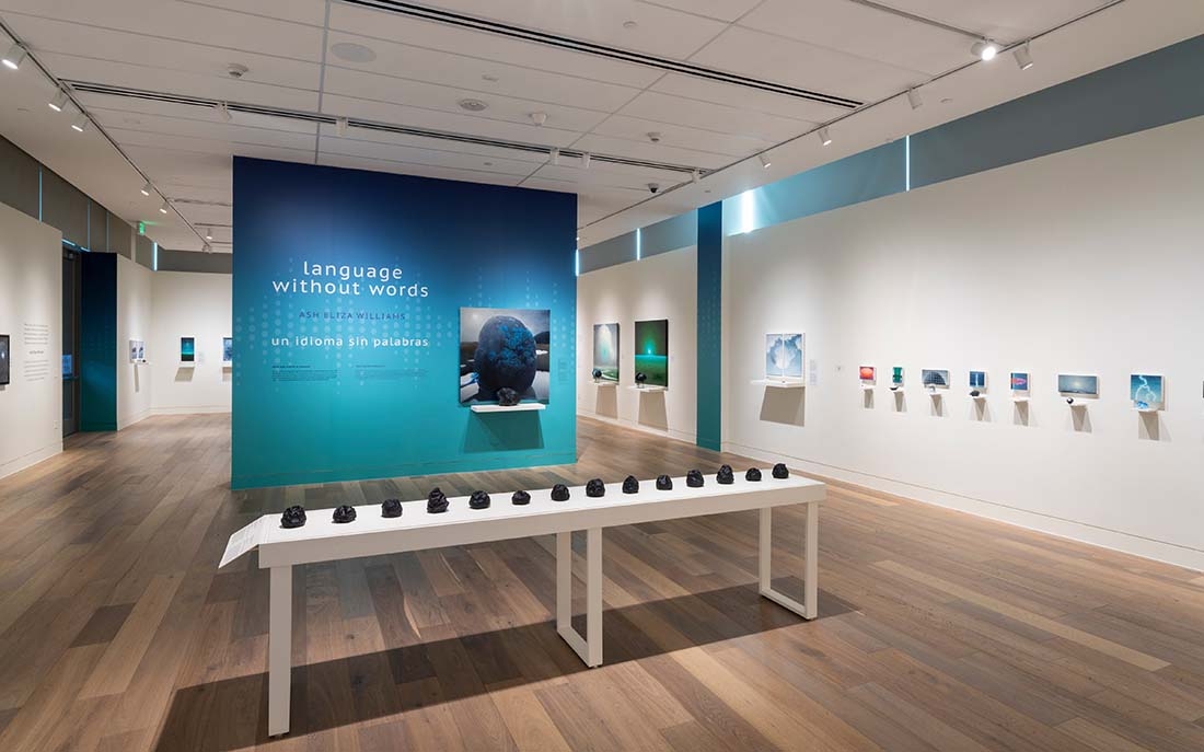 Gallery space with blue wall and white display case