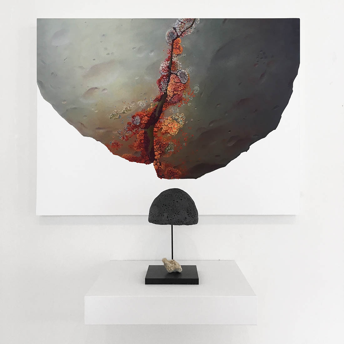 Nucleus(Communication_Attempt)