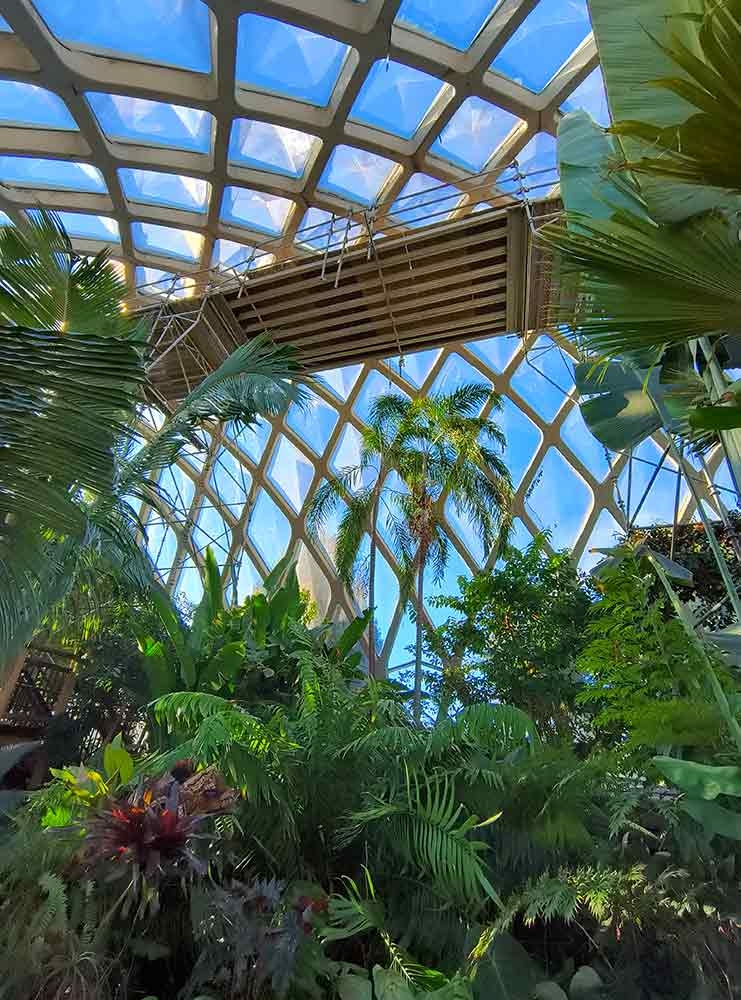 Scaffolding in place to repair roof vents.