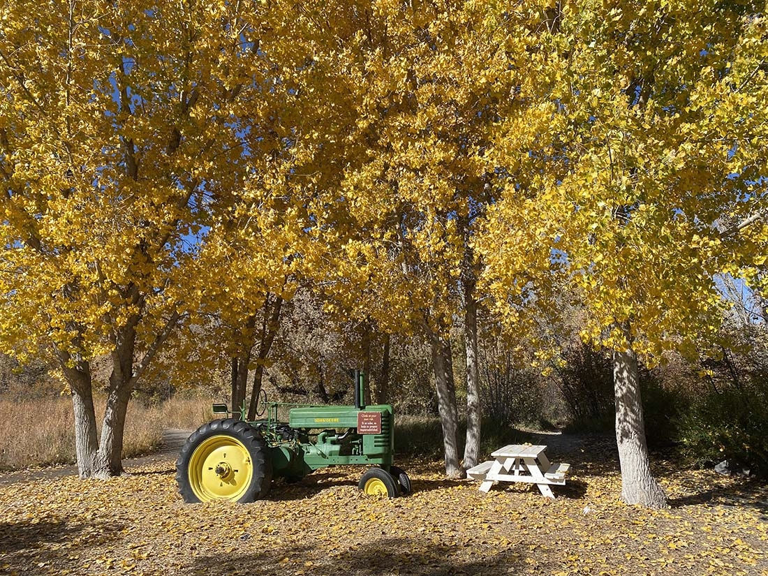a tractor with fall trees