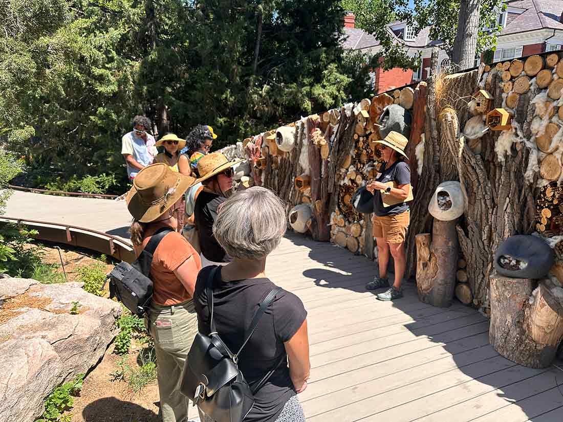 People looking at a wall that has containers and baskets attached to it to attract pollinators.