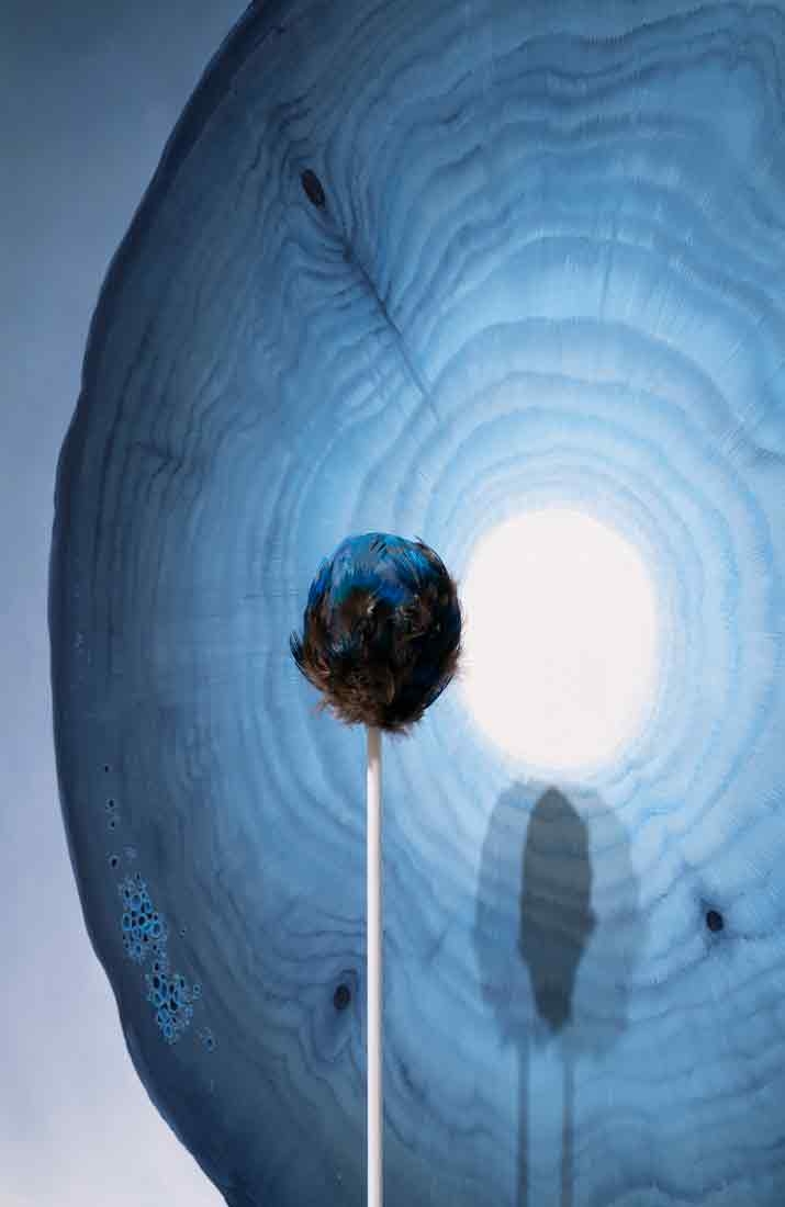 Ash Eliza Williams, "Tree Language" (detail), oil paint, clay and ethically-sourced feathers, 2024. 