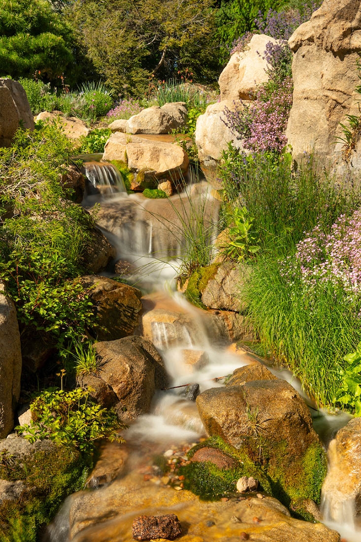 a small landscaping waterfall with plants