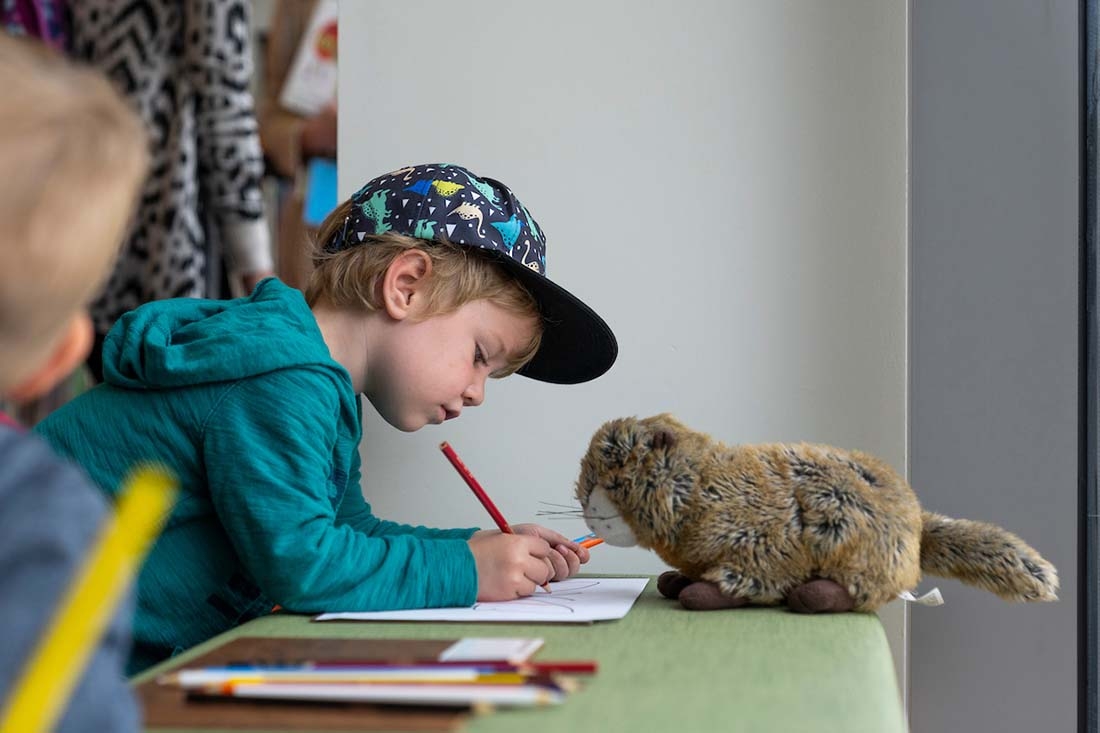 Little boy in ball cap and blue hoodie drawing in a stuffed marmot nearby