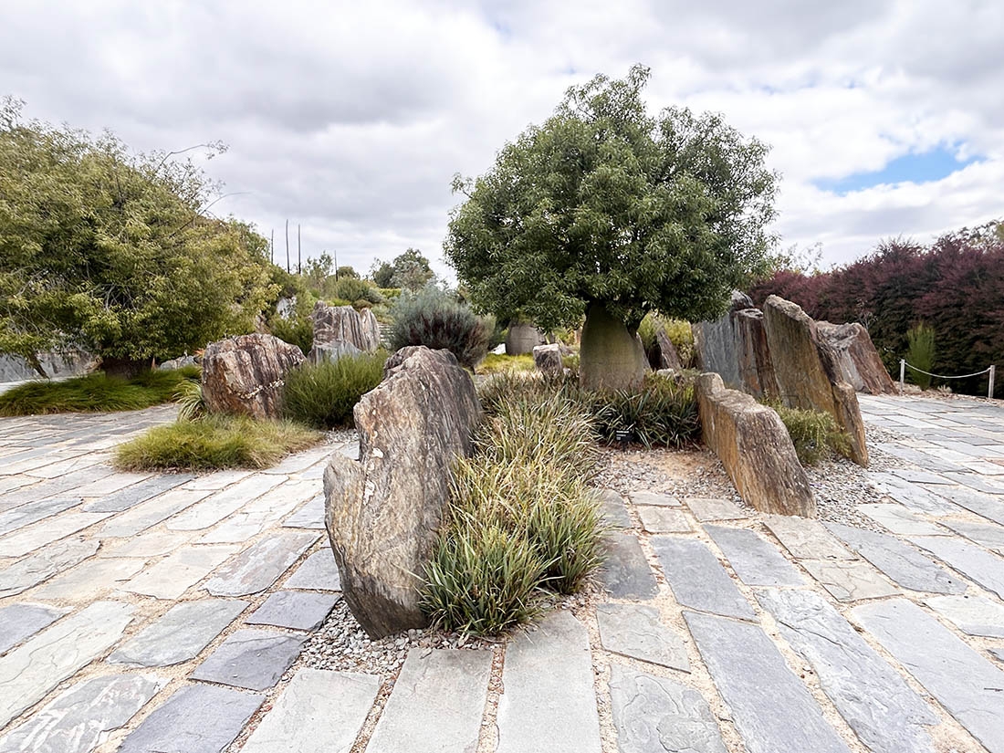 pavers with tall rocks, a tree and grasses