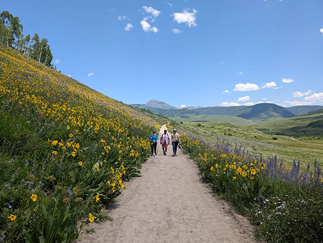 hikers in the distance on a path lined by wildflowers