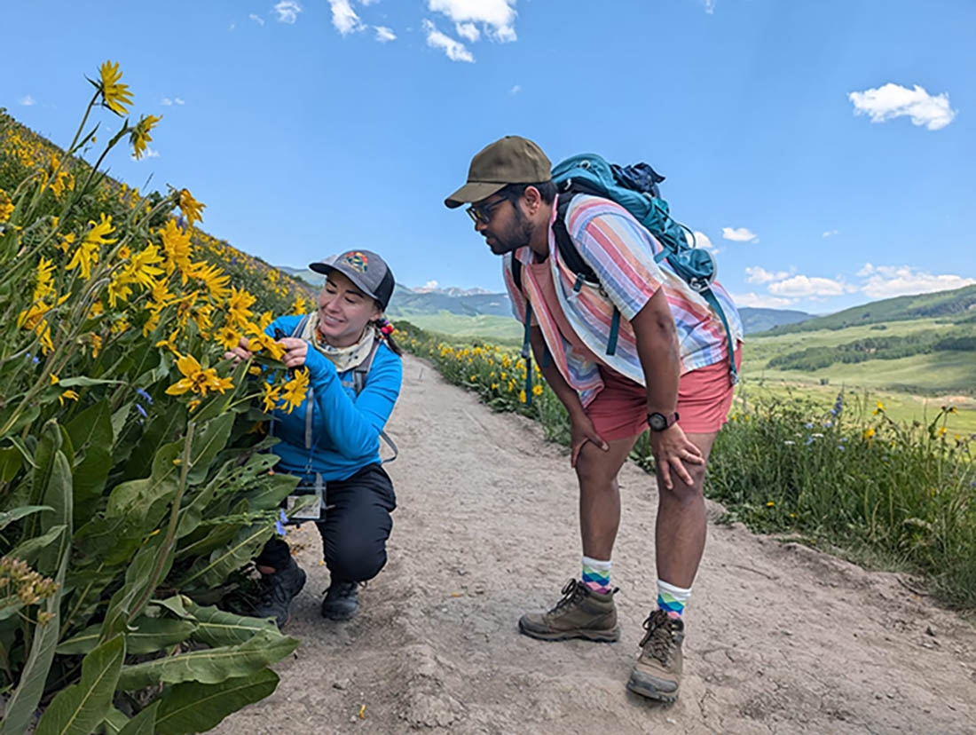 Two hikers inspect yellow wildflowers along a path