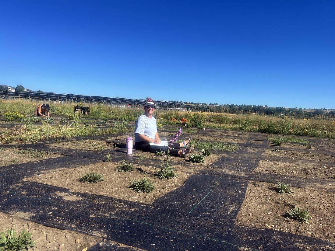 Person in white t-shirt sitting on dry plant-trialing plots