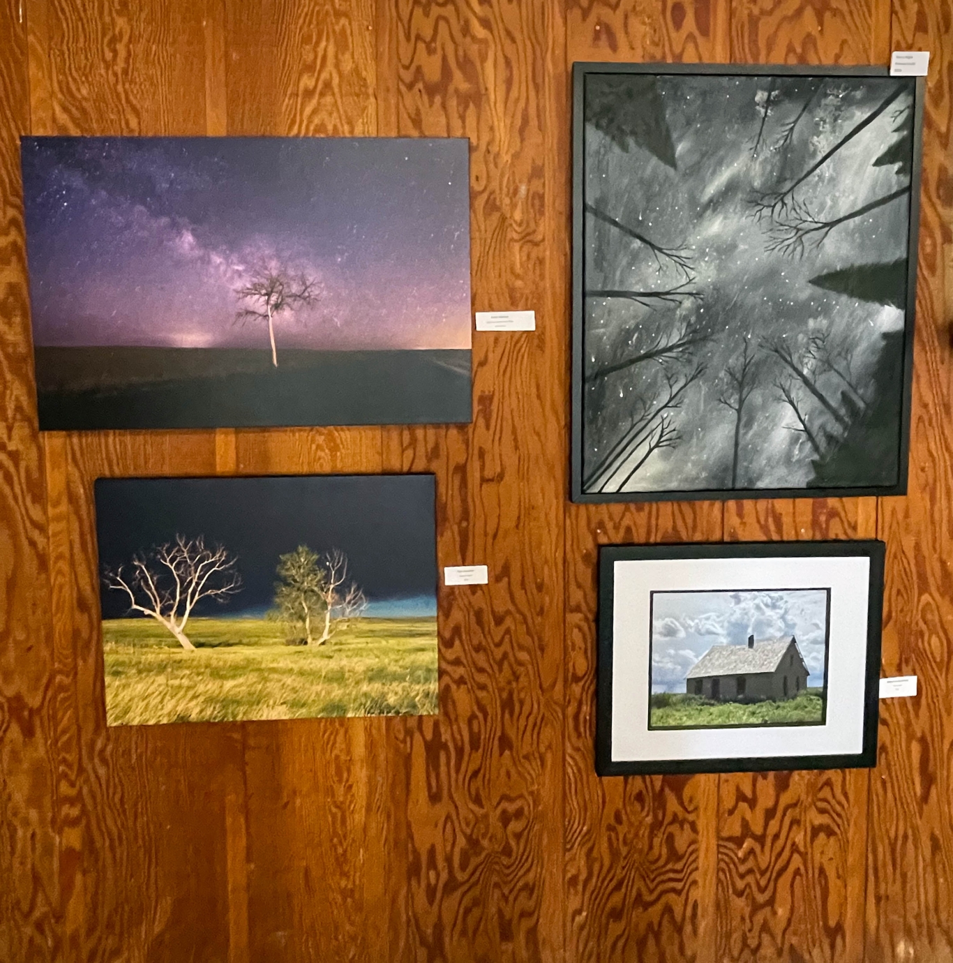 Four paintings displayed on wooden wall