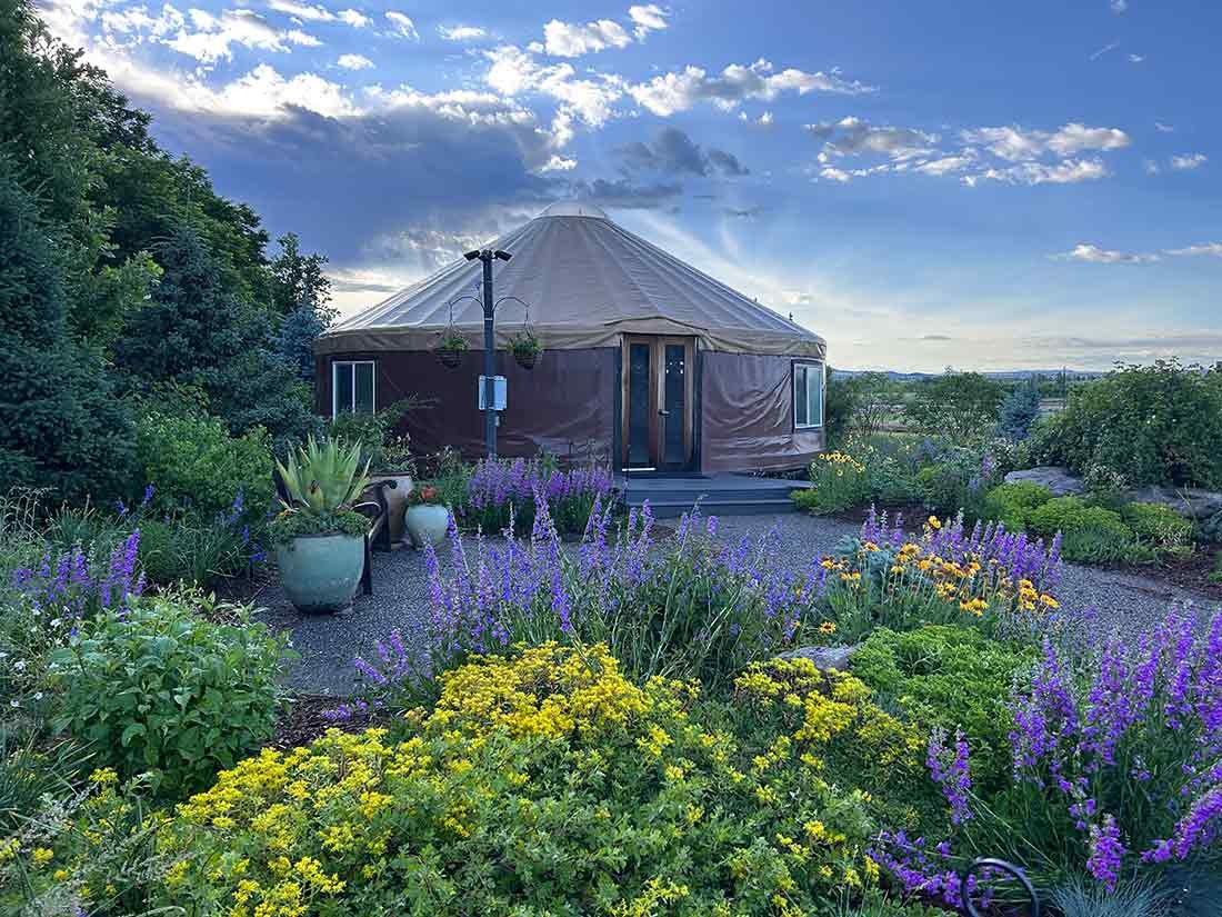 Quiet morning at the Yurt Garden