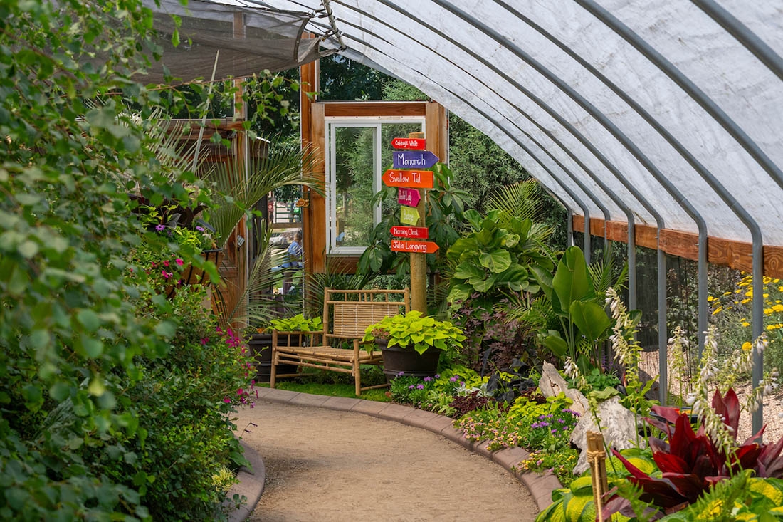 Inside a greenhouse lush with pollinator-friendly plants