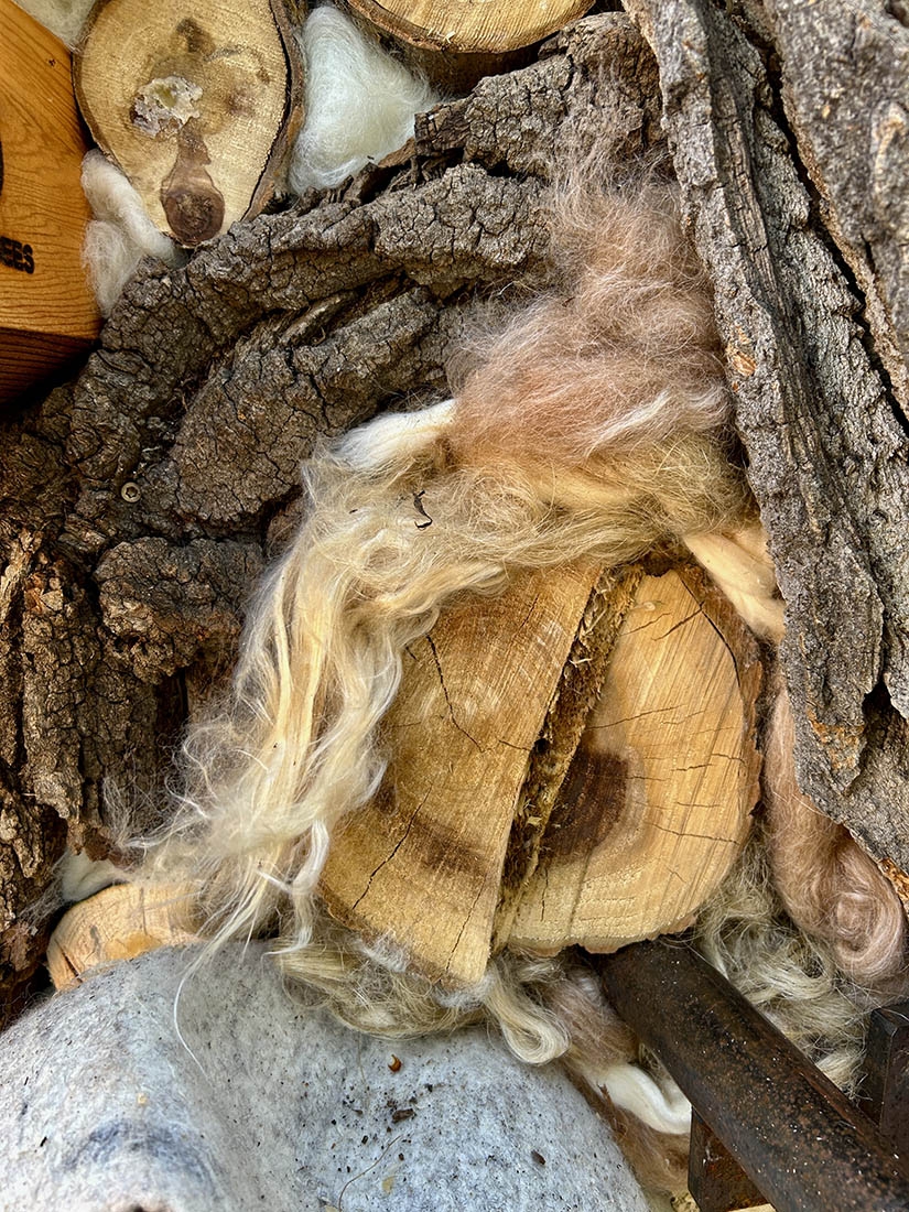The interplay of bark, deadwood and fibers