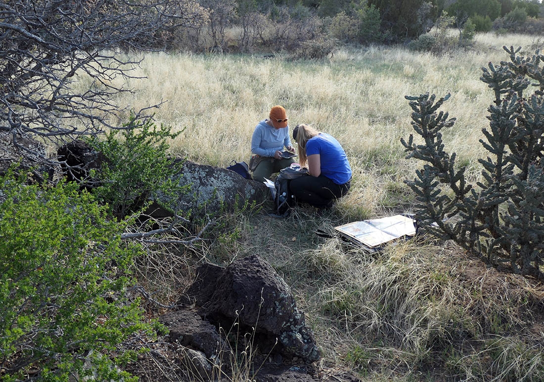 Two people in a field of native grasses collecting data