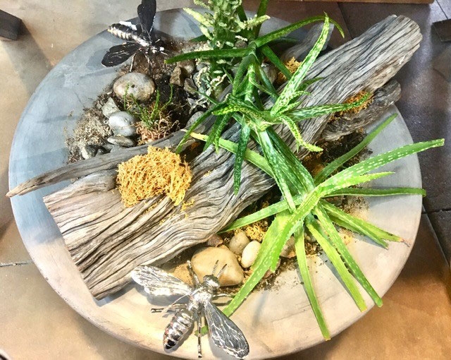 Personal Garden / Xero Space Garden