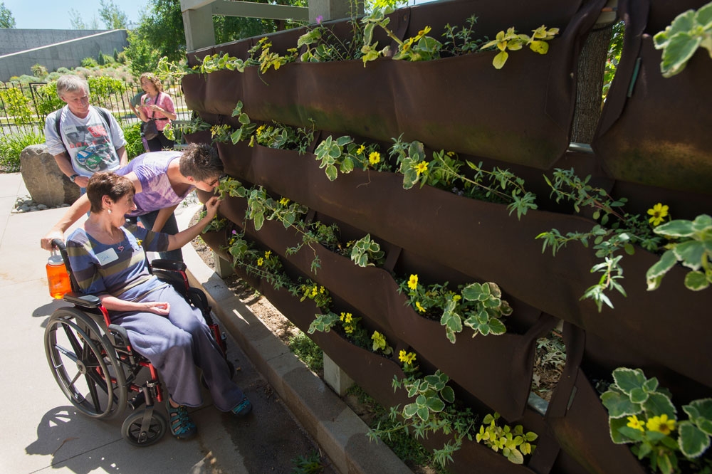 Participants in the Summer Sensory program enjoy the wheelchair-accessible living wall in the Sensory Garden
