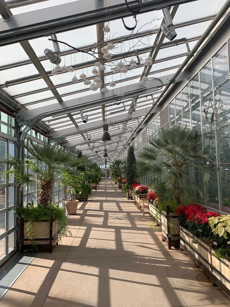 This year's holiday display in the Orangery gives poinsettias center stage
