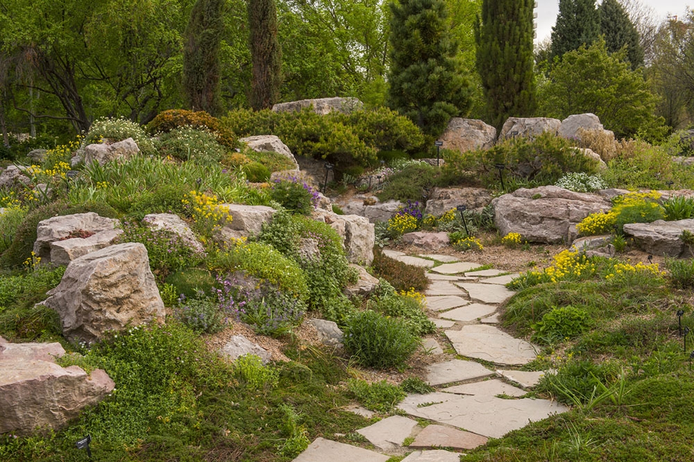 Rock Alpine Garden