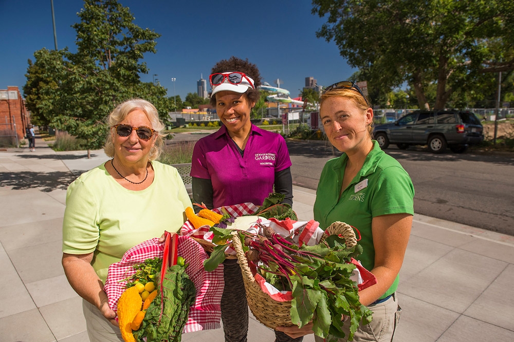 Urban Food Initiatives